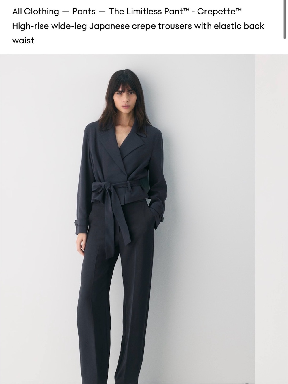 Aritizia Limitless Crepette trouser pants in Midnight Navy